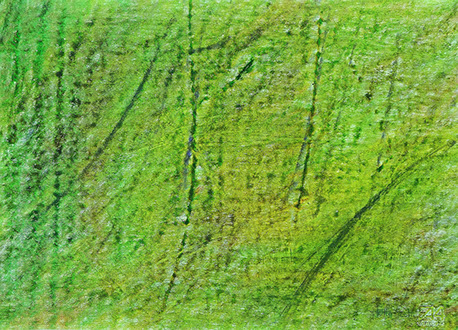 quadro Etta Scotti pittrice astratto informale acrilico verde 